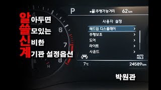 ☆계기판에서 설정이 가능한 유용한 옵션☆에 대해 - 가니가니