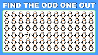 25 Odd One Out Questions to Test Your IQ | Find the Odd One Out | Logical Reasoning & Brain Test