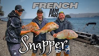 Fishing Adventure at D'Urville Island \u0026 French Pass | Catching Huge Snapper!