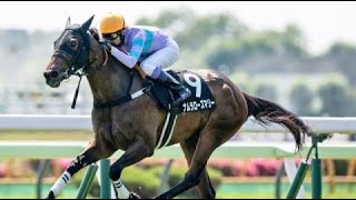 長万部特別　 芝1200m (右 A)　ナムラローズマリー　牝3　53.0　武豊　2024.6.29　出走馬：ビッグパレード、バシレウスシチー、ディージェーサン、ミッドナイトラスタ、セイウンティーダ他