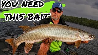 This BAIT CHANGED OUR MUSKY FISHING forever!