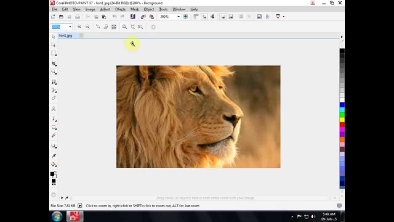 How To Make Background Transparent In Coreldraw X5 Dareloge