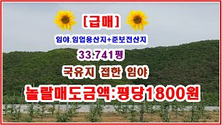 [급매임야] 평당 1800원 대박임야  33741평 임업용산지+준보전산지  차량까지 진입가능 전기까지 옆에 ---빠른매매 예상--