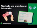 Warfarin and amiodarone interaction: How to manage?