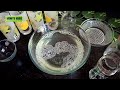 5 मिनिटात काचेची भांडी चकचकीत करा how to clean glass cups how to make glasswares sparkle glass