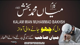 Kalam Mian Muhammad Bakhsh || Sufi Kalam 2023 || Saif Ul Malook