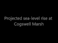 Sea-level Rise Scenario for San Francisco Bay Estuary - Cogswell Marsh