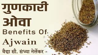 ovache fayde | ओव्याचे फायदे | Benefits of Ajwain | गुणकारी ओवा