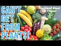 Nutrients Only Found in MEAT! | 5 Essential Nutrients You CANNOT GET on a Vegan Diet