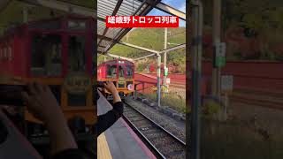 【嵐山】嵯峨野トロッコ列車🚃