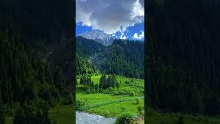 #kashmir #youtubeshorts#ytshorts #muzaffarabad#kashmiri#beautiful place #nature in worldwide