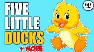 5 Little Ducks and More Learning Songs for Toddlers in English - Best Songs for Kids