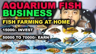 Aquarium Fish Farming | High Profitable #Business At #Home | Business ideas 2021 By ECartWala