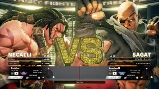 D-string (Necalli) vs Bonchan (Sagat)：D-string（ネカリ）vs ボンちゃん（サガット）