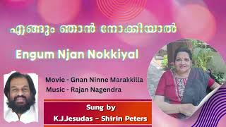 Engum Njan Nokkiyal _ Sherin Peters - Malayalam Audio Song