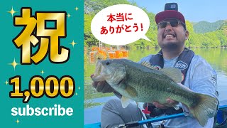 【登録者1000人記念】ビッグバス連発釣行！