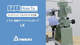 イワキ 定量ポンプ LK メンテナンス（バルブセットの交換）