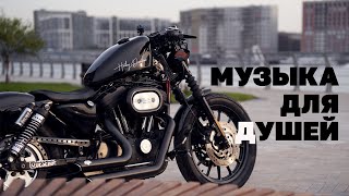 Сел, обалдел!HARLEY DAVIDSON SPORTSTER 1200 S.