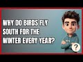 Why Do Birds Fly South for the Winter Every Year?