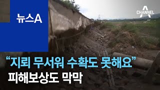 “지뢰 무서워 수확도 못해요”…피해보상도 막막 | 뉴스A