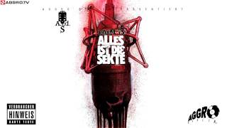 ROYAL TS  (SIDO \u0026 B-TIGHT) HIER GEHS UM RAP - ALLES IST DIE SEKTE - ALBUM - TRACK 11