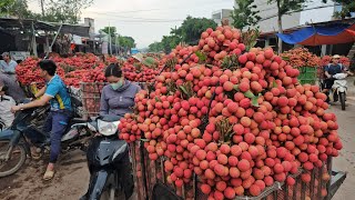 GIÁ VẢI XUẤT KHẨU HÔM NAY GIẢM HƠN KÉN HÀNG HƠN SO VỚI HÔM QUA