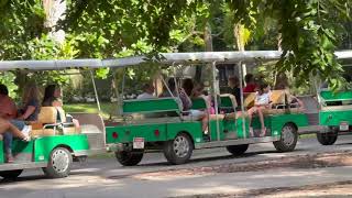 flamingo gardens tour - davie florida - botanical gardens