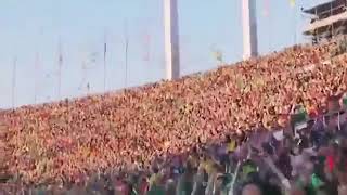 ももいろクローバーZ Overture 2014年国立競技場ライブ