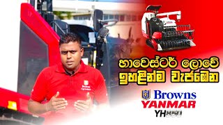 Yanmar YH850 Review - Part 02 | Powerful Harvesting Performance \u0026 Unmatched Features | Sinhala | SL