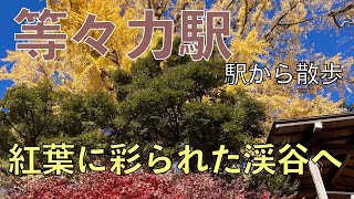 To the valley colored by autumn leaves [Todoroki Station / Walk from the station]