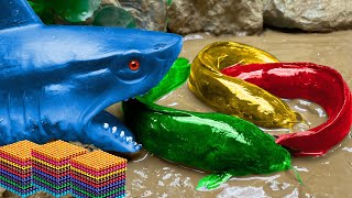 Stop Motion Magnet Shark skills ASMR - Magnetic DIY World Satisfying Balls// Fish Mukbang deep eel