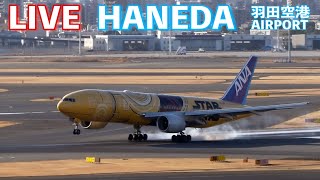 【LIVE】 '25/1/28 羽田空港 T1 HANEDA AIRPORT  plane spotting