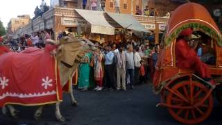 Rajasthan gangaur festival  I राजस्थान की शाही गणगौर Part-2 I By Discovery of Rajasthan