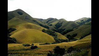 Untangling the mystery of the shola grassland-forest mosaics of southern India - Jayashree Ratnam