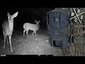 iZEEKER 4K Trail Camera  - Unboxing & Review