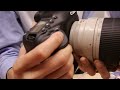 キヤノン「eos 1d x」の連写速度をチェック