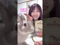 いちごちゃんとツーショットを撮れて嬉しい飼い主🐰 shorts 日常vlog うさぎのいる暮らし