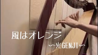 【光GENJI】の【風はオレンジ】をハープで弾いてみた