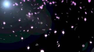 glow light Sakura cherry blossom particle loop animation stock footage  - Download Stock Footage