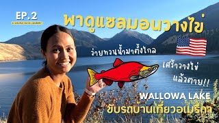 Ep.2 ดูปลาแซลมอนวางไข่ ชีวิตที่อเมริกา | Wallowa Lake, OR #แซลมอน #salmon #เที่ยวอเมริกา