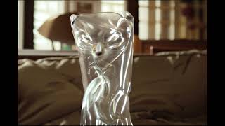 Transparent Glass Cat Blinks in Satisfying Realism