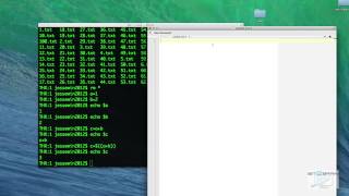 Bash Shell Scripting On Mac OS X