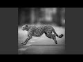TOXIC - Slowed