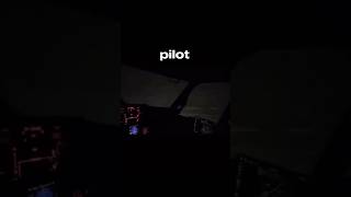 scary view of a pilot flying at night!