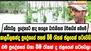 බේරුවල  ප්‍රදේශයට ඇද හැලෙන  වර්ෂාවත් නිසා කාලවිලකන්ද ප්‍රදේශයේ පහත් බිම් රැසක් ජලයෙන් යටවෙයි