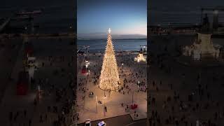 Festive lights in Lisbon