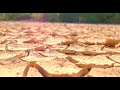 Deep Concern About Food Security in East Africa