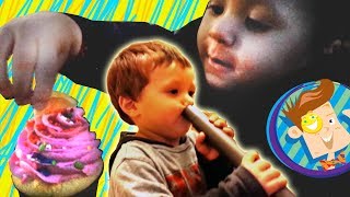Family Vlog Face Vacuum  Chase's Cupcake  Skylanders  Pet Store + More Happy New Years