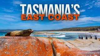 Road Tripping Tasmania's East Coast