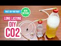 🔥 Build a Long Lasting DIY CO2 System for Your Planted Aquarium 🌿🫧